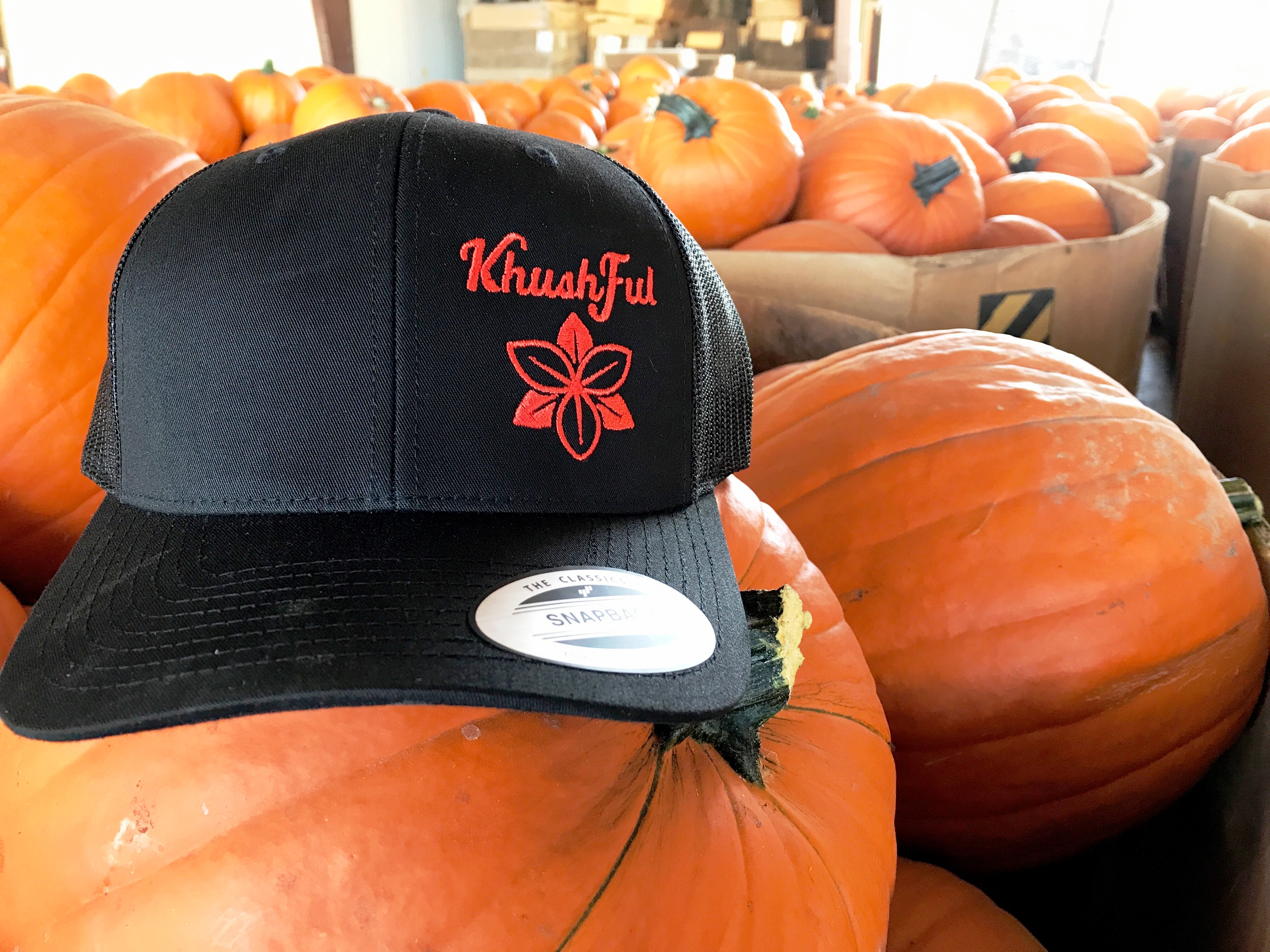 KhushFul on Pumpkins