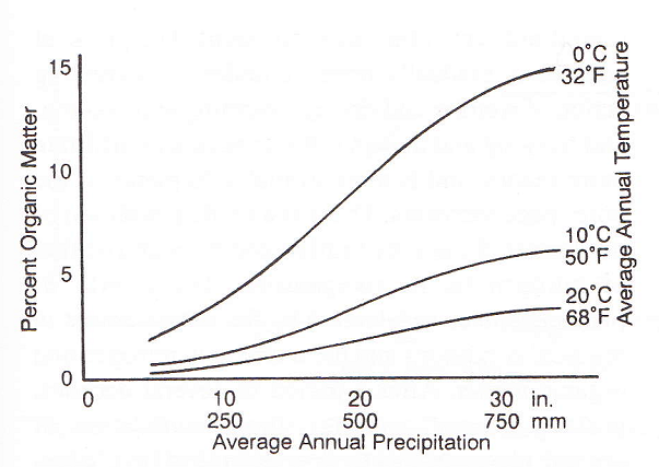 Overview of factors effecting humus decomposition